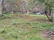 Satılır  torpaq 11 sot, photo 2 from 5