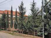 Satılır  torpaq 4 sot, Şağan q., photo 2 from 2