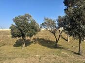 Продаётся  участок 43 сот, м. Автовокзал, photo 2 from 7