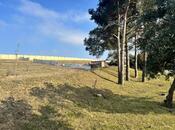 Объявление №5997904 - Баку, м. Автовокзал, 43 сот