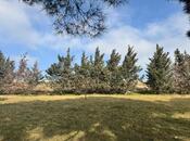 Satılır  torpaq 30 sot, Avtovağzal m., photo 2 from 8