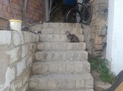 Satılır 2 otaqlı həyət evi/bağ evi 74 m², 20-ci sahə q., photo 7 from 8