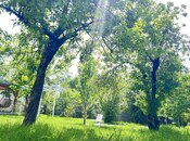 Сдаётся 5-комн. дом/дача 200 м², photo 4 from 8