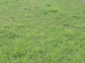 Продаётся  участок 23 сот, photo 5 from 5