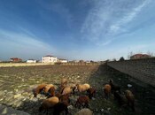 Объявление №5998335 - Баку, пос. Горадил, 26 сот