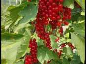 Продаётся  участок 1 000 сот, photo 3 from 8