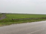 Продаётся  участок 300 сот, Хачмазский р., photo 3 from 3