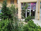 Объявление №5998827 - Баку, пос. Зых, 45 м²