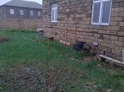 Продаётся 2-комн. дом/дача 45 м², пос. Кюрдаханы, photo 7 from 8