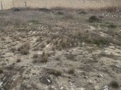 Satılır  torpaq 20 sot, photo 2 from 3