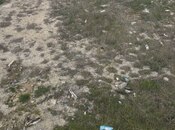 Satılır  torpaq 20 sot, photo 3 from 3