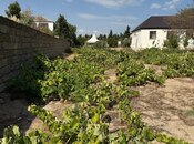 Satılır  torpaq 5 sot, Pirşağı q., photo 2 from 3