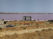 Torpaq - Masazır q. - 40 sot