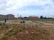 Satılır  torpaq 3 sot, Savalan q., photo 3 from 3