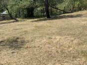 Satılır  torpaq 6 sot, photo 3 from 3