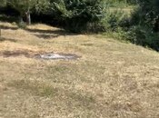 Satılır  torpaq 6 sot, photo 2 from 3