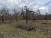 Продаётся  участок 57 сот, photo 8 from 8