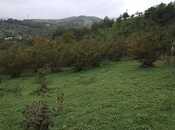 Объявление №5999286 - Губа, Губа, 48 сот