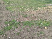 Продаётся  участок 5.9 сот, пос. Новханы, photo 5 from 5