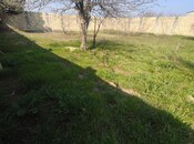 Продаётся  участок 6 сот, пос. Новханы, photo 5 from 6