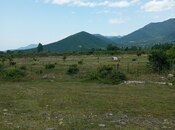 Satılır  torpaq 38 sot, photo 2 from 5