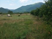 Elan №5999313 - Şəki, Şəki, 38 sot