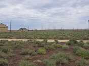 Satılır  torpaq 12 sot, photo 3 from 5