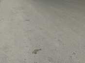 Продаётся  участок 1.7 сот, пос. Гала, photo 2 from 8