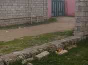 Продаётся  участок 1.7 сот, пос. Гала, photo 5 from 8