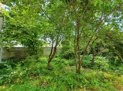 Satılır 5 otaqlı köhnə tikili 200 m², photo 7 from 8