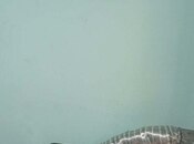 İcarəyə verilir 1 otaqlı həyət evi/bağ evi 16 m², Zabrat q., photo 4 from 4