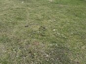 Satılır  torpaq 4 sot, photo 4 from 7