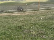 Elan №5999826 - Şamaxı, Şamaxı, 4 sot