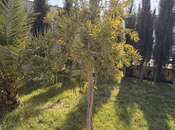 İcarəyə verilir 4 otaqlı həyət evi/bağ evi 120 m², Mərdəkan q., photo 8 from 8