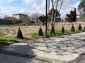 Объявление №5950587 - Баку, пос. Ази Асланова, 13.6 сот