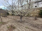 Продаётся 3-комн. дом/дача 100 м², пос. Новханы, photo 6 from 8
