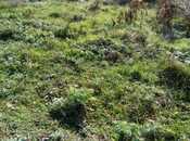 Продаётся  участок 14 сот, photo 2 from 3