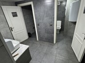 Сдаётся  объект 190 м², м. Низами, photo 4 from 4