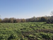 Elan №6000871 - Qusar, Qusar, 12.5 sot