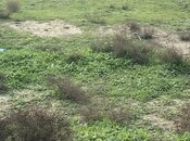 Продаётся  участок 5 сот, пос. Шувеляны, photo 2 from 4