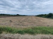 Объявление №6001033 - Шамкир, Шамкир, 12 сот