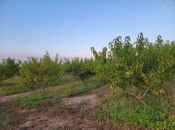 Объявление №6001072 - Исмаиллы, Исмаиллы, 3.2 сот