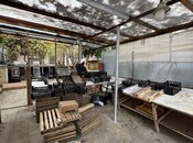 Elan №6001143 - Bakı, Azadlıq Prospekti m., 30 m²