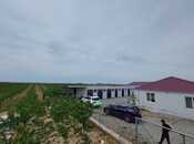 Satılır  torpaq 200 sot, Türkan q., photo 2 from 8