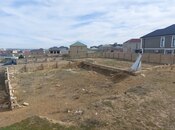 Объявление №6001638 - Баку, пос. Сарай, 2.5 сот