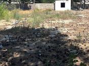 Объявление №6001712 - Баку, пос. Бакиханова, 12 сот