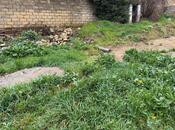 Elan №6001820 - Bakı, Qaraçuxur q., 1.4 sot