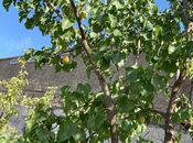 Продаётся  дом/дача 220 м², пос. Бильгях, photo 6 from 8