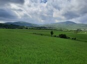 Объявление №6002141 - Исмаиллы, Исмаиллы, 100 сот