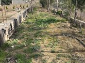 Продаётся  участок 12 сот, Абшеронcкий  р., photo 6 from 6